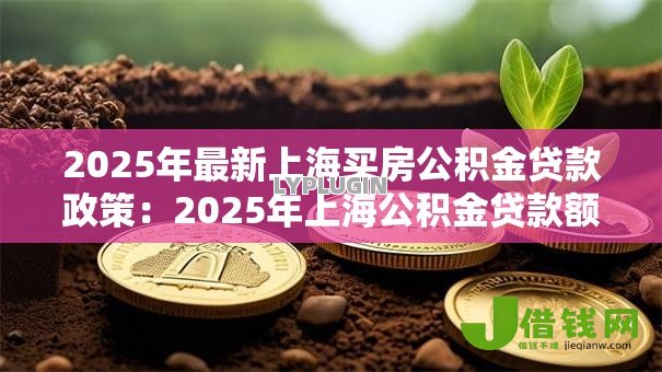 2025年最新上海买房公积金贷款政策:2025年上海公积金贷款额度如何计算 2025年最新上海买房公积金贷款政策:2025年上海公积金贷款额度如何计算
