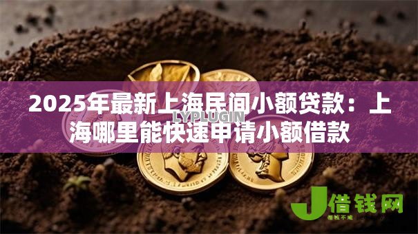 2025年最新上海民间小额贷款：上海哪里能快速申请小额借款