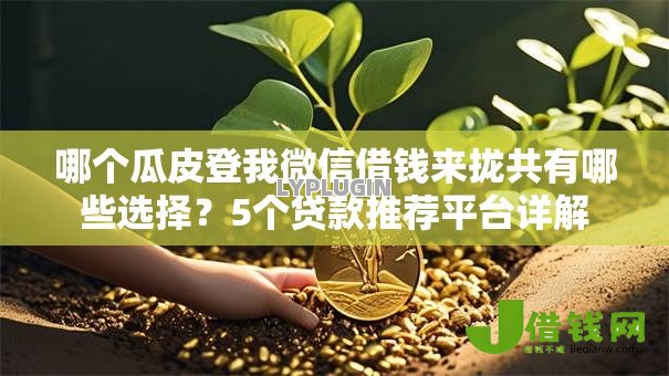 哪个瓜皮登我微信借钱来拢共有哪些选择?5个贷款推荐平台详解 哪个瓜皮登我微信借钱来拢共有哪些选择?5个贷款推荐平台详解