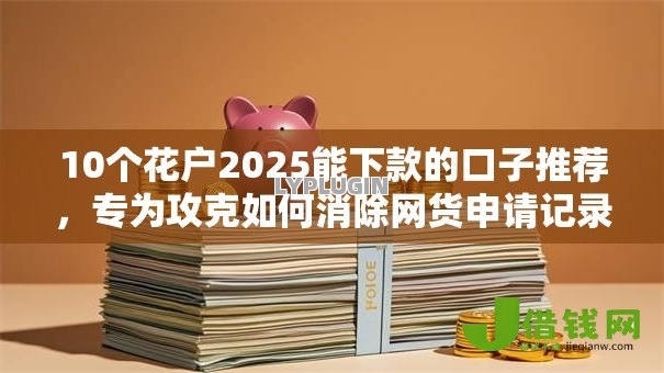 10个花户2025能下款的口子推荐，专为攻克如何消除网货申请记录难题
