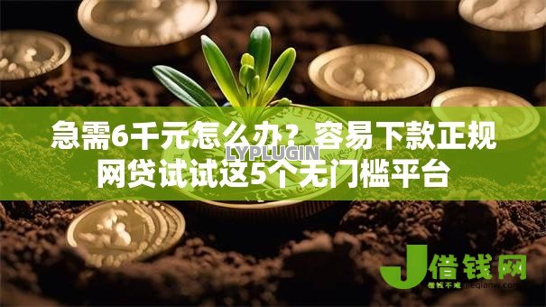 急需6千元怎么办？容易下款正规网贷试试这5个无门槛平台