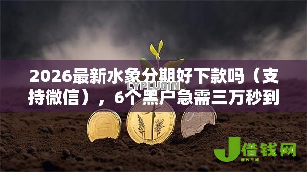2026最新水象分期好下款吗（支持微信），6个黑户急需三万秒到的的口子无私分享