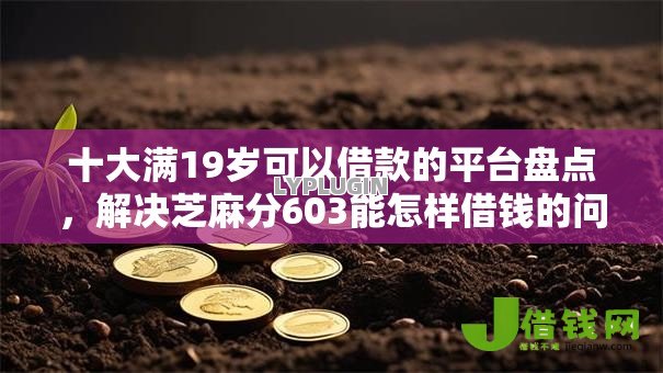 十大满19岁可以借款的平台盘点，解决芝麻分603能怎样借钱的问题