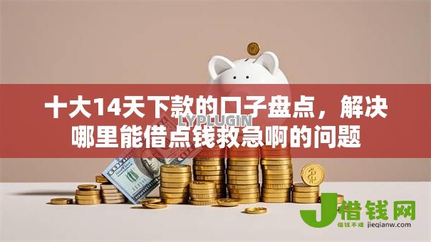 十大14天下款的口子盘点，解决哪里能借点钱救急啊的问题