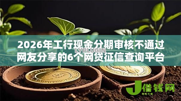 2026年工行现金分期审核不通过网友分享的6个网贷征信查询平台我觉得不错！