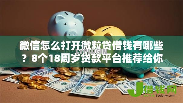微信怎么打开微粒贷借钱有哪些？8个18周岁贷款平台推荐给你