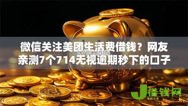 微信关注美团生活费借钱？网友亲测7个714无视逾期秒下的口子盘点
