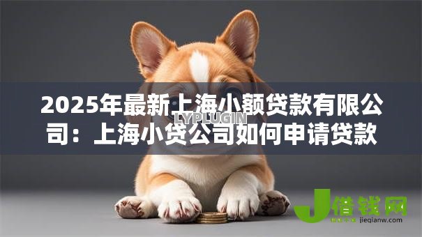 2025年最新上海小额贷款有限公司：上海小贷公司如何申请贷款服务