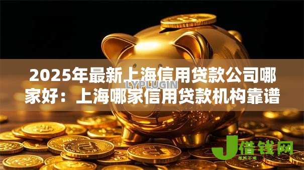 2025年最新上海信用贷款公司哪家好：上海哪家信用贷款机构靠谱