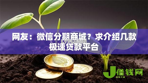 网友：微信分期商城？求介绍几款极速贷款平台