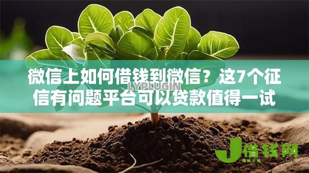 微信上如何借钱到微信?这7个征信有问题平台可以贷款值得一试 微信上如何借钱到微信?这7个征信有问题平台可以贷款值得一试