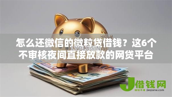 怎么还微信的微粒贷借钱？这6个不审核夜间直接放款的网贷平台值得一试