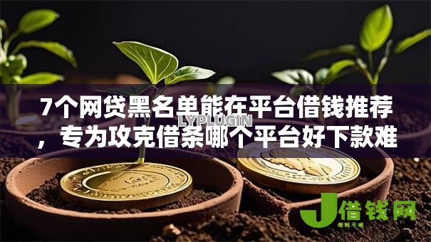 7个网贷黑名单能在平台借钱推荐，专为攻克借条哪个平台好下款难题