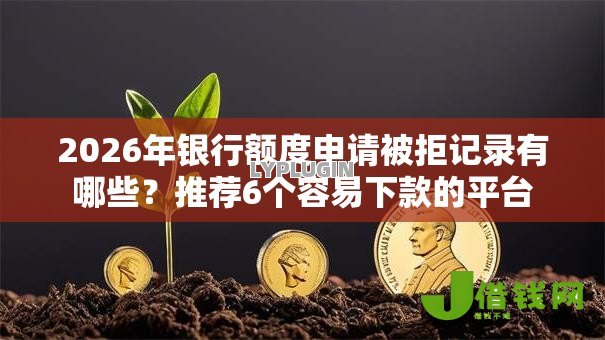 2026年银行额度申请被拒记录有哪些?推荐6个容易下款的平台 2026年银行额度申请被拒记录有哪些?推荐6个容易下款的平台