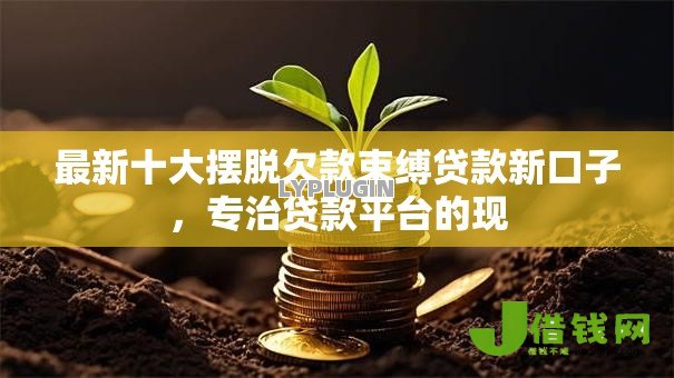 最新十大摆脱欠款束缚贷款新口子，专治贷款平台的现