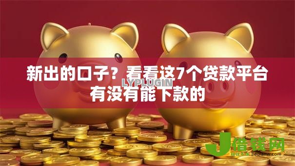 新出的口子？看看这7个贷款平台有没有能下款的