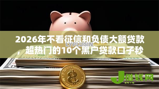 2026年不看征信和负债大额贷款，超热门的10个黑户贷款口子秒下的推荐