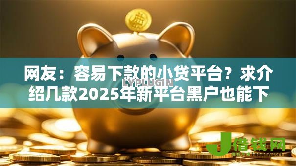网友：容易下款的小贷平台？求介绍几款2025年新平台黑户也能下款这种