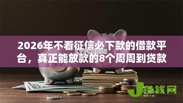 2026年不看征信必下款的借款平台，真正能放款的8个周周到贷款相同系列的口子推荐