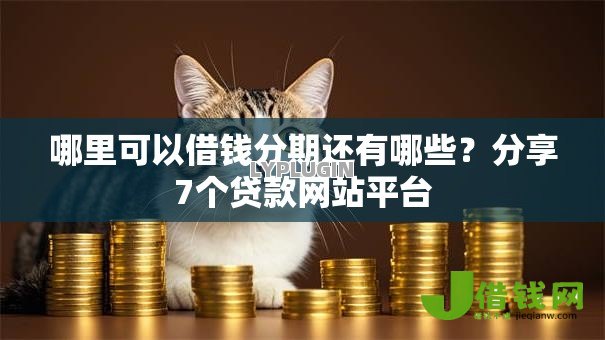 哪里可以借钱分期还有哪些？分享7个贷款网站平台