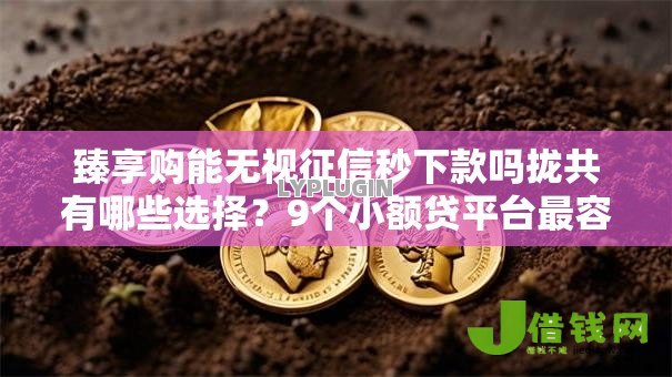 臻享购能无视征信秒下款吗拢共有哪些选择?9个小额贷平台最容易下款详解 臻享购能无视征信秒下款吗拢共有哪些选择?9个小额贷平台最容易下款详解