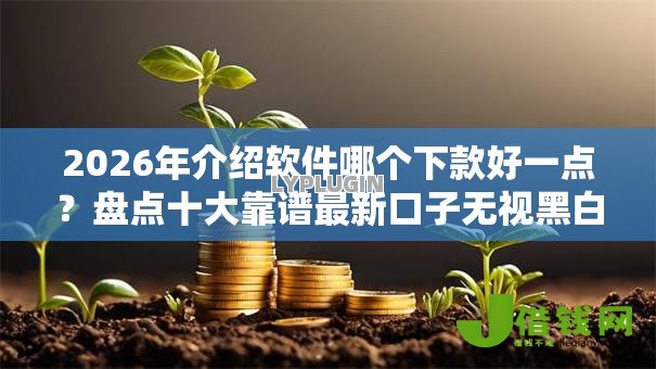 2026年介绍软件哪个下款好一点？盘点十大靠谱最新口子无视黑白户网贷