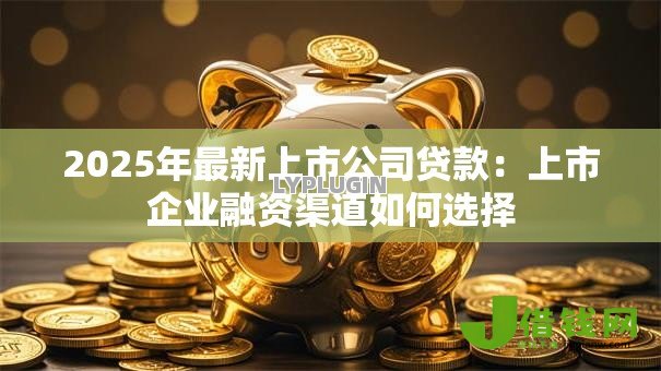2025年最新上市公司贷款:上市企业融资渠道如何选择 2025年最新上市公司贷款:上市企业融资渠道如何选择