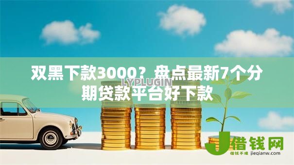 双黑下款3000？盘点最新7个分期贷款平台好下款