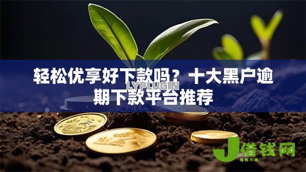 轻松优享好下款吗？十大黑户逾期下款平台推荐