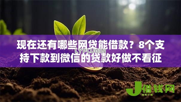 现在还有哪些网贷能借款？8个支持下款到微信的贷款好做不看征信的app