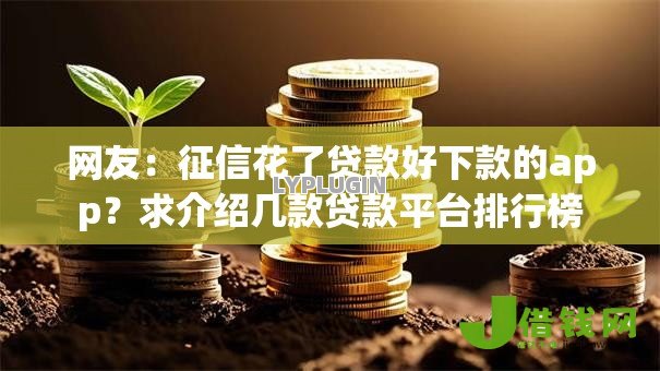 网友：征信花了贷款好下款的app？求介绍几款贷款平台排行榜
