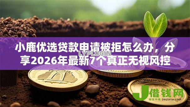 小鹿优选贷款申请被拒怎么办，分享2026年最新7个真正无视风控黑白的网贷