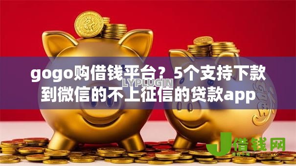 gogo购借钱平台？5个支持下款到微信的不上征信的贷款app