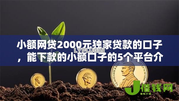 小额网贷2000元独家贷款的口子，能下款的小额口子的5个平台介绍
