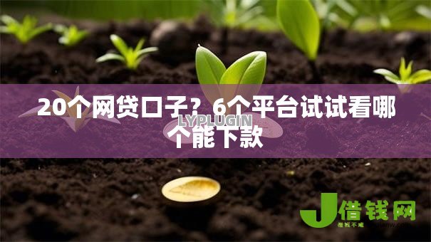 20个网贷口子?6个平台试试看哪个能下款 20个网贷口子?6个平台试试看哪个能下款