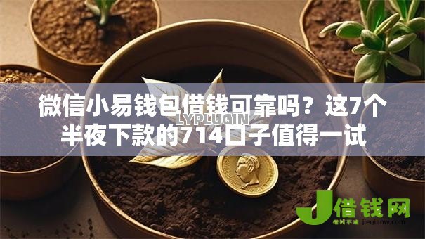 微信小易钱包借钱可靠吗?这7个半夜下款的714口子值得一试 微信小易钱包借钱可靠吗?这7个半夜下款的714口子值得一试