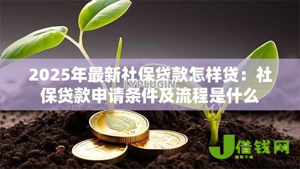 2025年最新社保贷款怎样贷:社保贷款申请条件及流程是什么 2025年最新社保贷款怎样贷:社保贷款申请条件及流程是什么