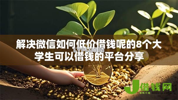 解决微信如何低价借钱呢的8个大学生可以借钱的平台分享