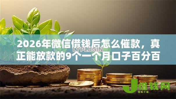 2026年微信借钱后怎么催款,真正能放款的9个一个月口子百分百下款的平台推荐 2026年微信借钱后怎么催款,真正能放款的9个一个月口子百分百下款的平台推荐