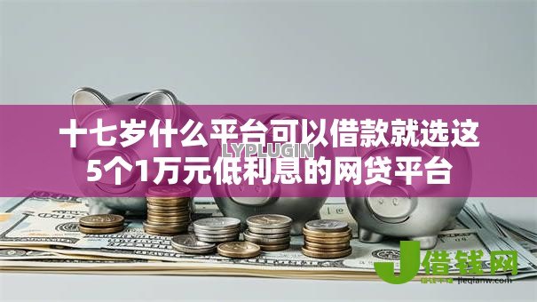 十七岁什么平台可以借款就选这5个1万元低利息的网贷平台