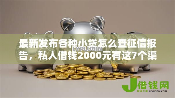 最新发布各种小贷怎么查征信报告，私人借钱2000元有这7个渠道