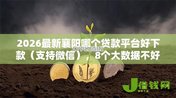 2026最新襄阳哪个贷款平台好下款（支持微信），8个大数据不好平台可以借钱无私分享