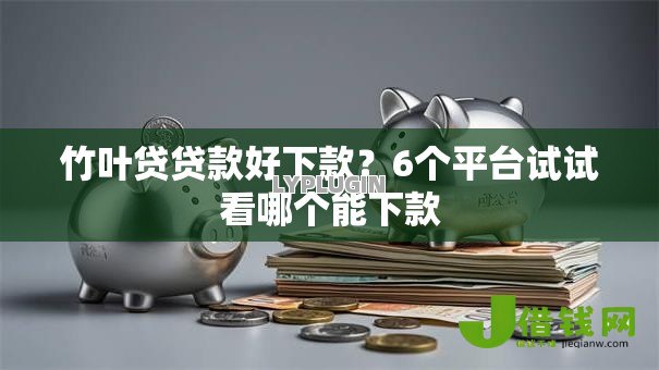 竹叶贷贷款好下款?6个平台试试看哪个能下款 竹叶贷贷款好下款?6个平台试试看哪个能下款