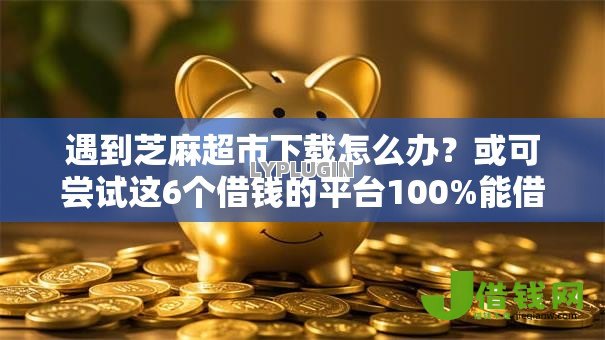 遇到芝麻超市下载怎么办？或可尝试这6个借钱的平台100%能借到18周岁