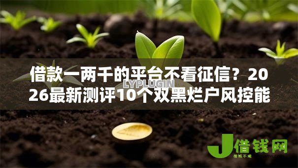 借款一两千的平台不看征信?2026最新测评10个双黑烂户风控能下款5000口子 借款一两千的平台不看征信?2026最新测评10个双黑烂户风控能下款5000口子