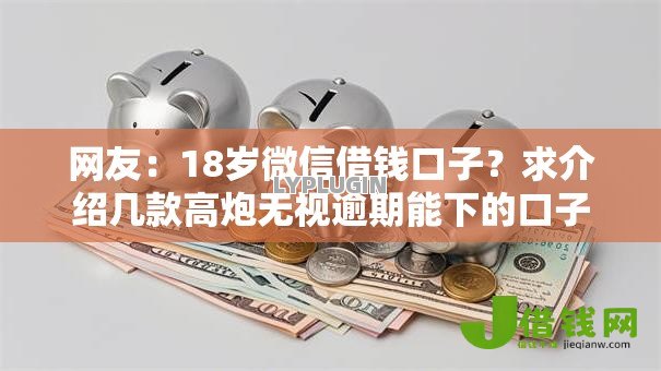 网友：18岁微信借钱口子？求介绍几款高炮无视逾期能下的口子