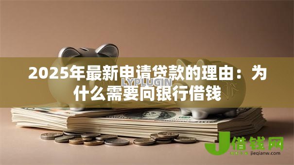 2025年最新申请贷款的理由：为什么需要向银行借钱