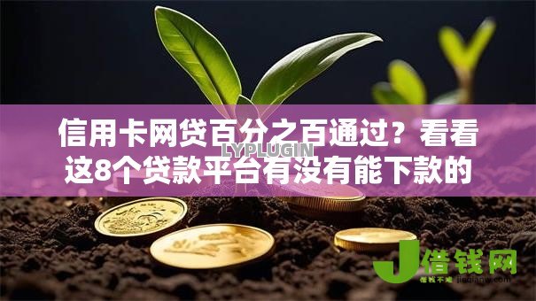 信用卡网贷百分之百通过?看看这8个贷款平台有没有能下款的 信用卡网贷百分之百通过?看看这8个贷款平台有没有能下款的