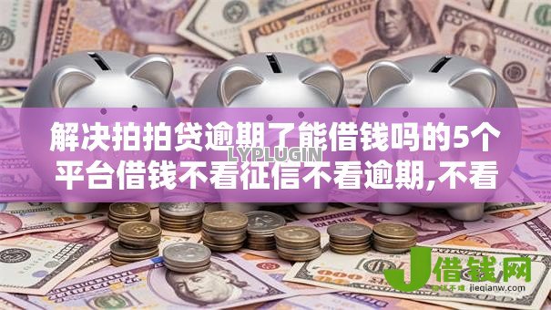 解决拍拍贷逾期了能借钱吗的5个平台借钱不看征信不看逾期,不看欠款分享