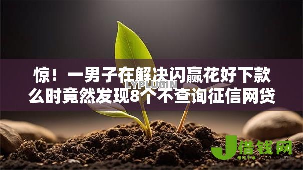 惊！一男子在解决闪赢花好下款么时竟然发现8个不查询征信网贷平台，事后分享了出来